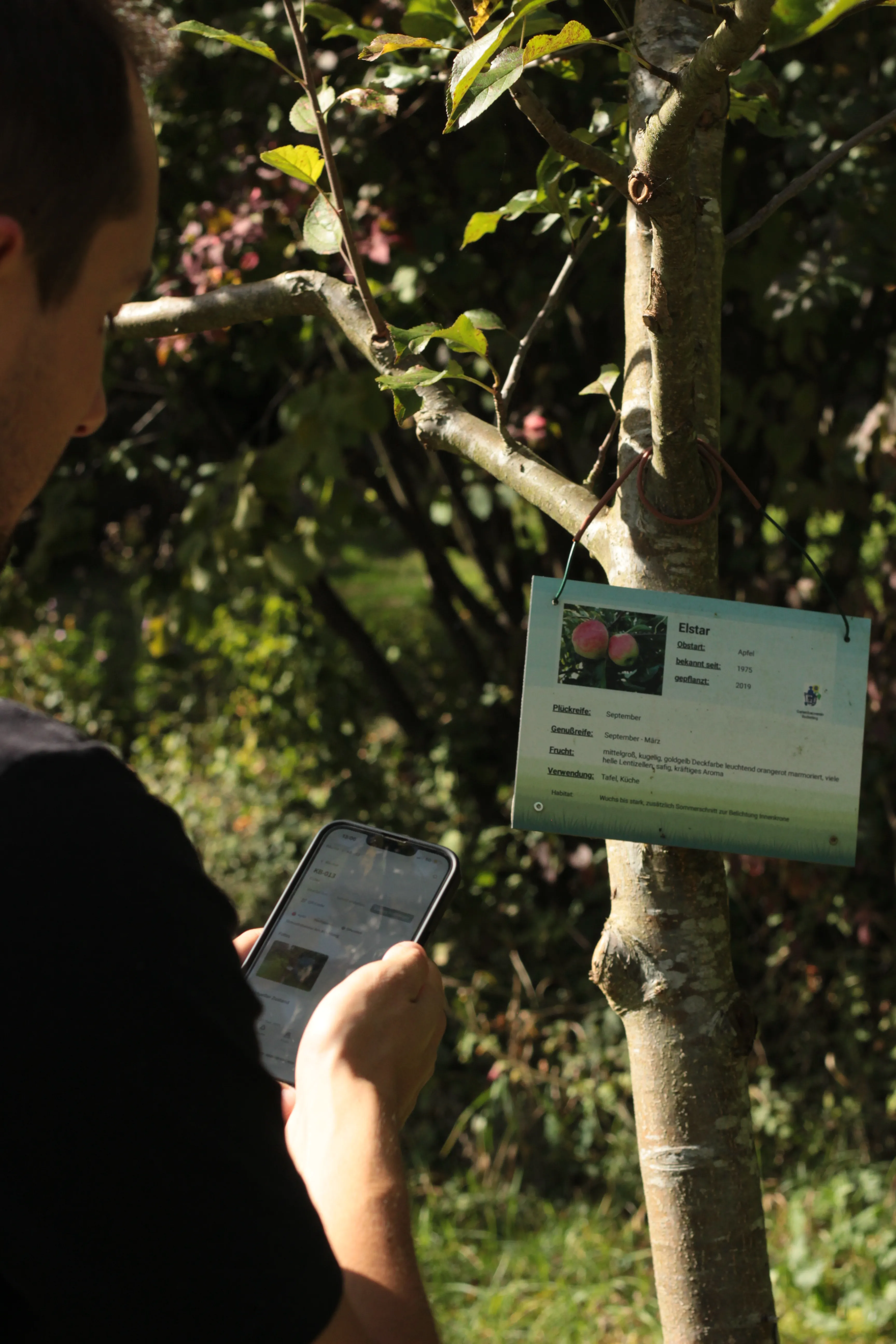 Foto: Beschilderung auf der Streuobstwiese des Gartenbauvereins